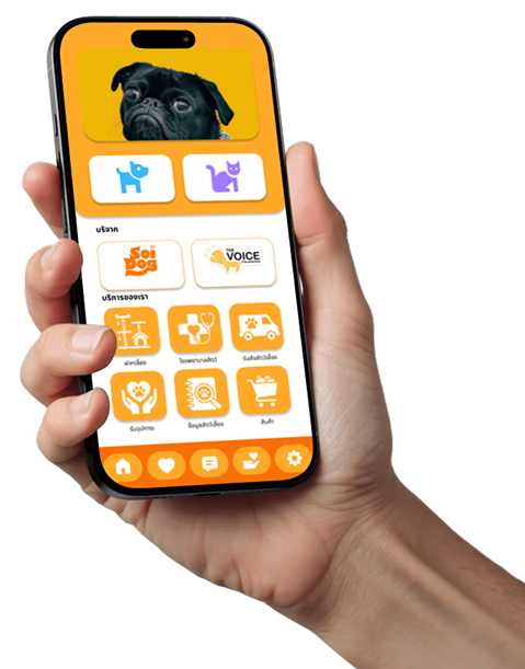 Pet Station App