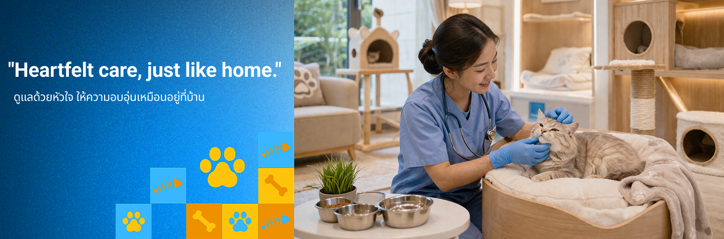 Pet Station h02 Feature