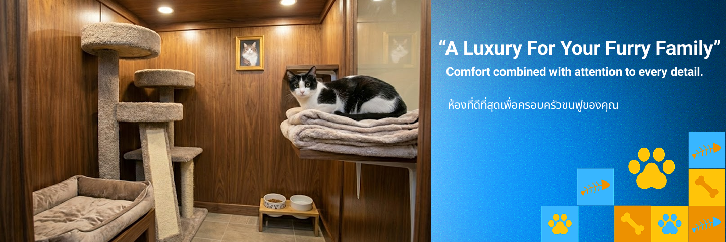 Pet Station h03 Feature